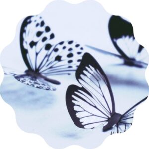 Papillons